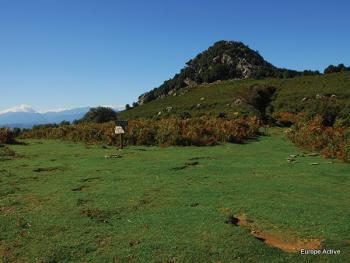 Rando Corse